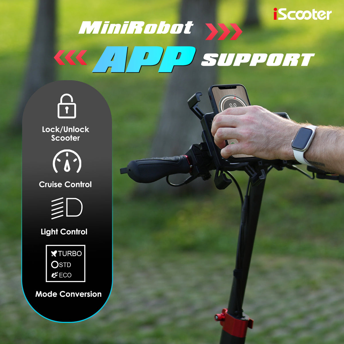 iX3 800W Off Road Electric Scooter